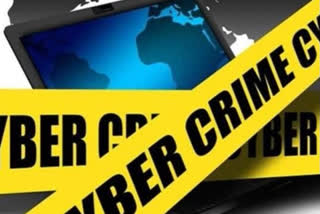 fir file against 177 accused in cyber crime