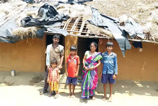 deogarh latest news, district administrations silence in deogarh, helpless and homeless surendra pradhan in deogarh, reality check of government schemes, ଦେବଗଡ ଲାଟେଷ୍ଟ ନ୍ୟୁଜ୍‌, ଦେବଗଡରେ ପ୍ରଶାସନର ନୀରବତା, ଦେବଗଡରେ ଅସହାୟରେ ସୁରେନ୍ଦ୍ର ପ୍ରଧାନ, ସରକାରୀ ଯୋଜନାର ବାସ୍ତବତା