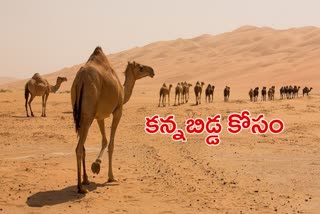 camel milk provided to autistic child living in Mumbai