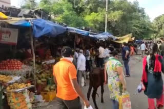 Now Seva Nagar vegetable market will be open for 4 hours during delhi lockdown