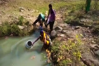 Villagers of Dhodri and Metatodake forced to drink water from Jharia in Rajnandgaon