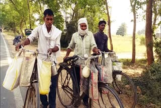 milk not selling during lockdown in palamu