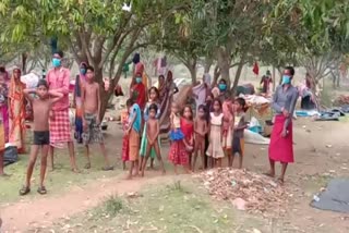 Chhattisgarh workers are living in forest due to the lockdown