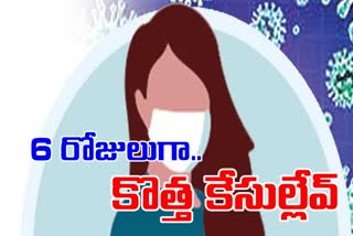 6 days on words no cases in vishaka