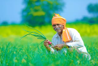 helpline numbers announced for farmers to sell vegetables