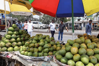 maharasthra mango business severely affected dueto lockdown