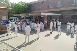 nursing students quit corona survey work in jodhpur rajasthan