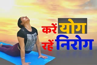 pranayama-and-yoga-increase-immunity-no-virus-will-dominate-the-body-watch-special-story