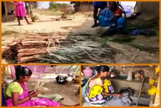 livelihoods of broom artisans