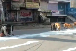 Man,Dogs Sharing Spilt Milk In Agra  Shows Lockdown Desperation