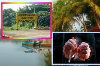 kerala of  Kasaragod district records highest covid-19 recovery rate with 37 percent in India