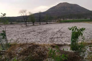 सांगलीत मुसळधार पावसासह बरसल्या गारा