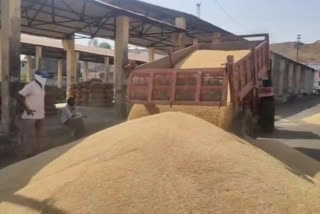 Nandurbar Agricultural Market