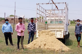 National Hindu Army providing straw to stray animals in Amarwada