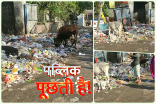 trashhouse of mangolpuri is in bad condition