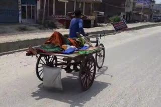 grandson took grandmother on cart to hospital