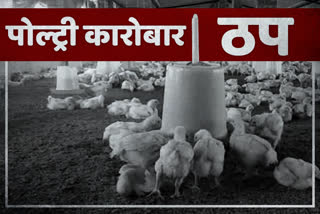 Poultry Business stopped due to corona virus in jharkhand