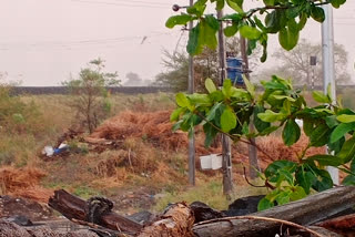 heavy rain in hingoli