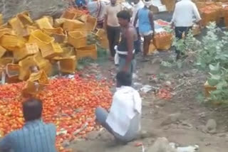 a truck loaded with tomatoes overturned in chhindwara