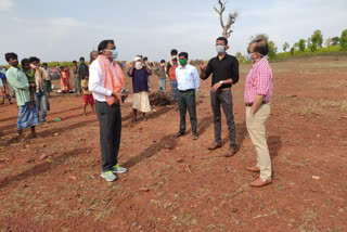 Collector inspected isolation camp