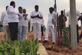 Srinivasa Rao's contribution in Dragon Fruit cultivation is commendable