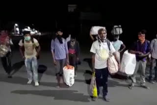 migrate labours returned to madhyapradesh by walk