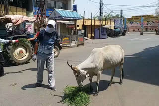 विदिशा