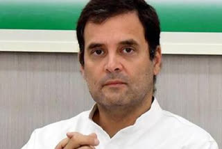 Rahul Gandhi asks govt to bring back Indian workers stuck in Middle East