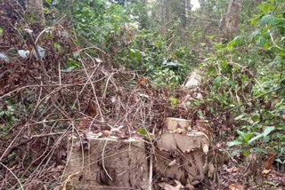 Timber smuggling on rise at Jonai due to lockdown period