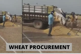 Wheat procurement commences in Punjab amid lockdown