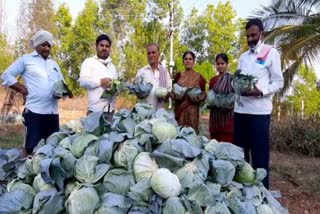 MLA Ranganath distributed vegetables to villagers at Tumkur