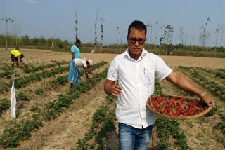 Ex Ulfa Caders Started cultivation at kokrajhar