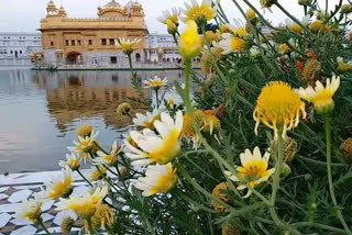 Golden Temple Amritsar