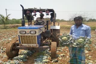 A farmer destroys a crop in Koppal