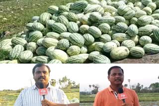 watermelon farmers affected in curfew