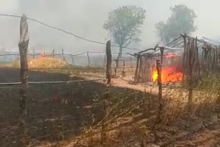 Burning of wheat crop standing due to fire
