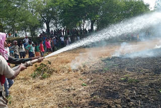 2 bigha wheat crop burnt to ashes