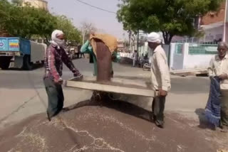 भरतपुर कृषि मंडी, भरतपुर में फसल खरीदीagricultural mandi open in bharatpur, farmers sell crops in bharatpur