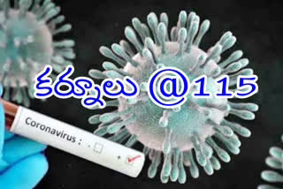 today 22 corona positive cases in kurnool district