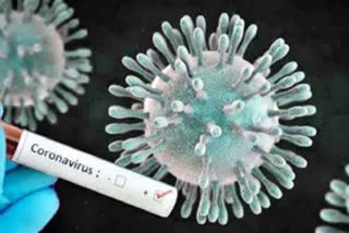 The coronavirus pandemic is exposing the myth of self-reliance