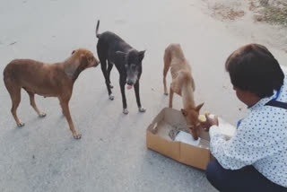 Banaras: Feeding the Beastly Animals by Mohammad Aqeel