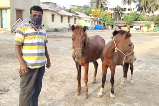 लॉकडाऊनचा टांगे व्यवसायिकांना फटका