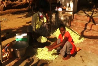 flower farmers happy wholesale thiruvannamalai  திருவண்ணாமலை பூ விவசாயிகள் மகிழ்ச்சி  பூ விவசாயிகள் மகிழ்ச்சி  பூ விவசாயிகள்  flower farmers  flower farmers happy