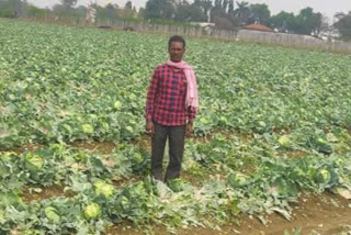 Agriculture scientist wrote a letter to CM in raipur