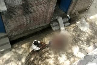 60year old woman shot dead in up,