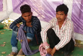 cattle thief caught in jehanabadcattle thief caught in jehanabad