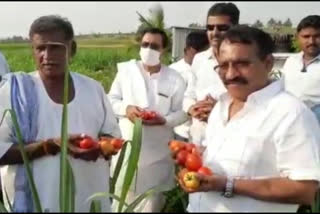 former mla thimmapuru buys essential vegetables from farmers in Bagalkot