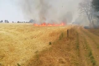 fire in field