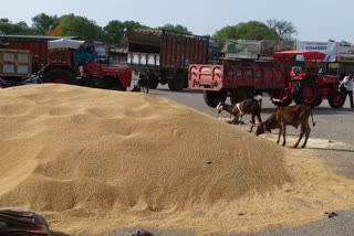 Many farmers have to travel a long way to sell crops