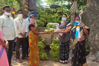 banana distributed by mla rampachodavaram